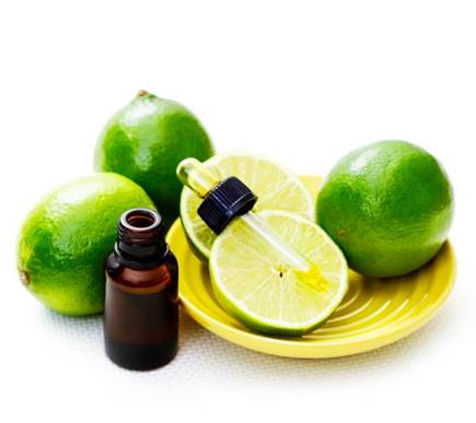 wholesale cold pressed organic lime essential oil suppliers in united states